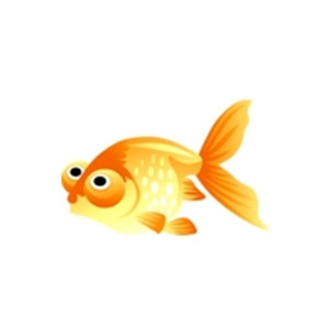 Celestial Eye Goldfish